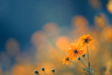 工商管理毕业论文如何找适合的企业来写 企业管理毕业论文