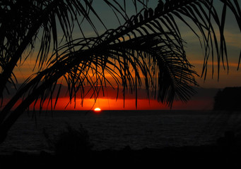 苹果实体店回收手机吗其它品牌实体店呢 二手苹果手机回收