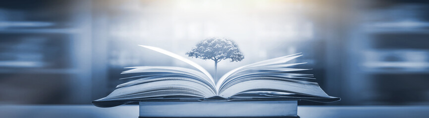 行尸走肉罗西塔被吸是第几季 行尸走肉第四季11