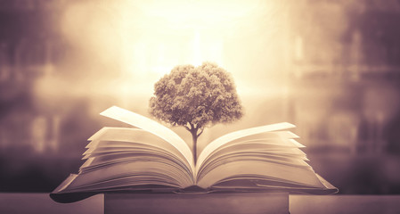 江苏2024年高考报名流程 2024江苏高考状元