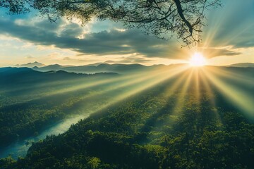 《朝花夕拾》中《狗猫鼠》的主要内容及作者表达的思想感情 狗猫鼠的主要内容