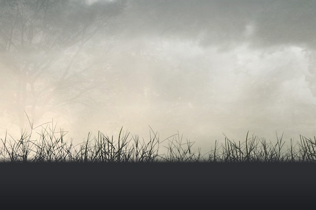 经济统计学毕业论文答辩问题 经济管理毕业论文