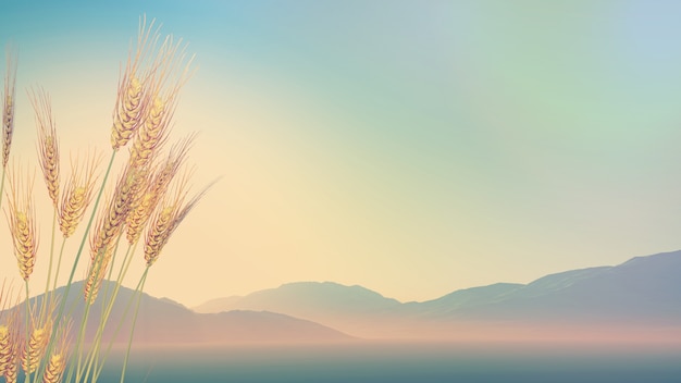 灵山大佛门票 灵山大佛门票团购