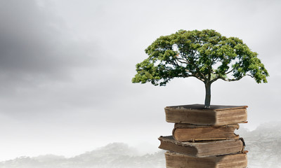 想做美的家电售后怎么申请 美的电器售后服务